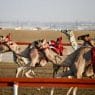 Dubai Camel Race Track