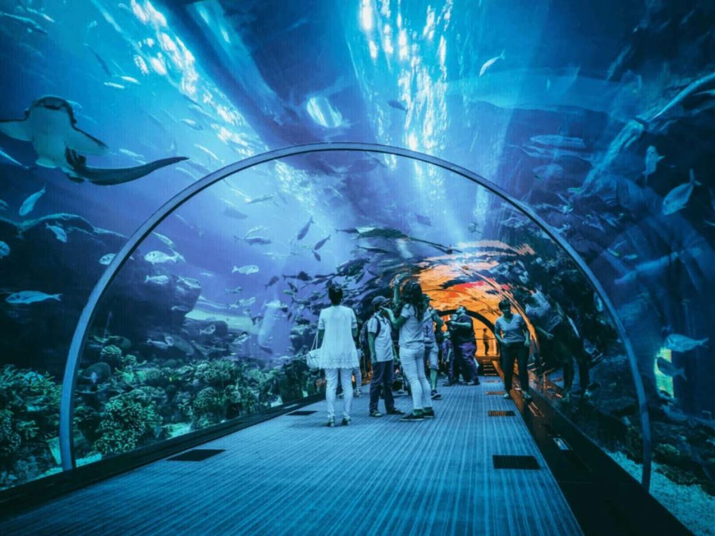 Dubai Aquarium and Underwater Zoo