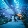 Dubai Aquarium and Underwater Zoo