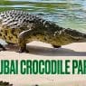 Dubai Crocodile Park