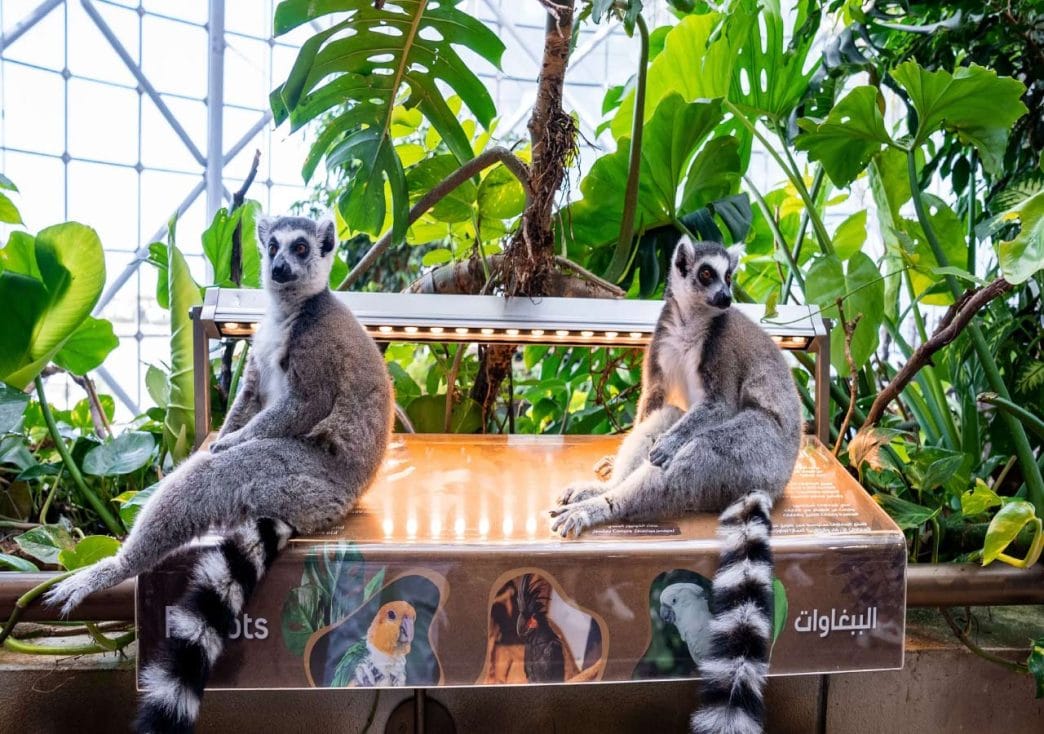 The Green Planet Dubai